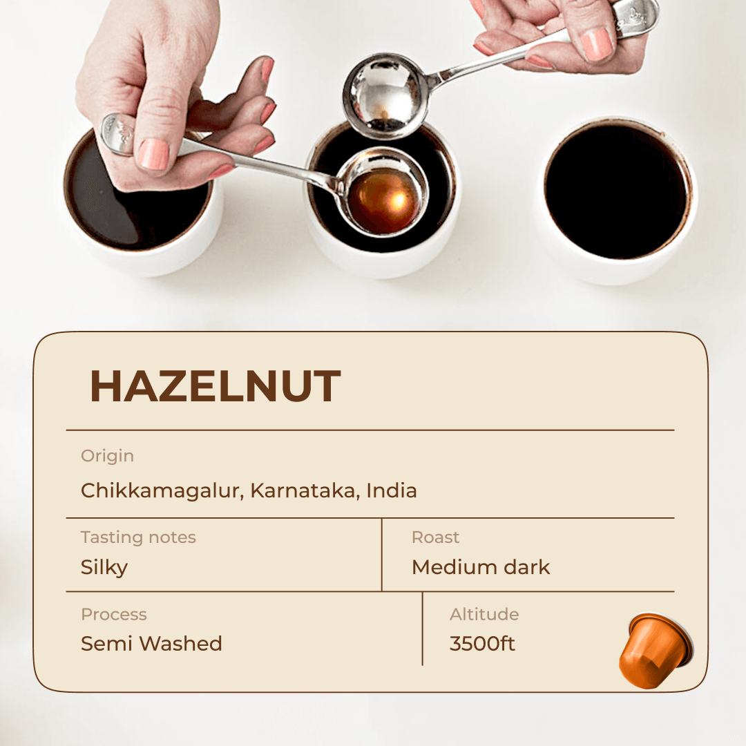 Flavored Coffee Combo - Hazelnut, Vanilla, & Chocolate (30-count)| Nespresso Compatible Aluminum Capsules | AAA Grade Beans