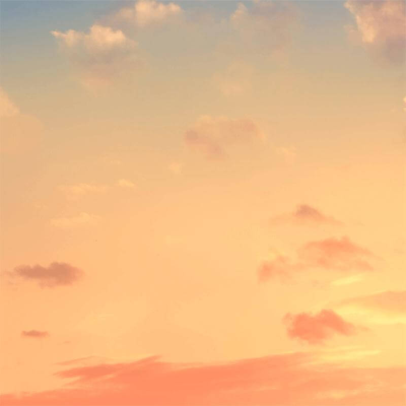 Wellness Coffee Capsules