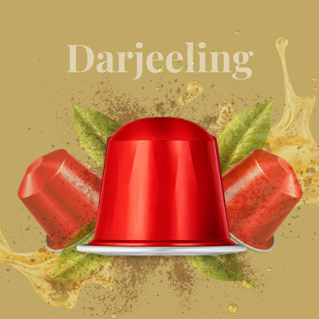 Darjeeling - Warm & Soothing Tea | Nespresso Compatible Pods | Tea Capsules