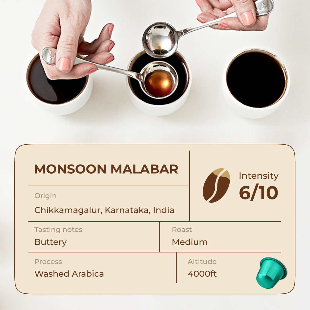 Monsoon Malabar Espresso Pods - Intensity 6/10 | Nespresso Compatible | Light/Cinnamon Roast | AA+ Grade Beans | Premium Aluminum Capsules