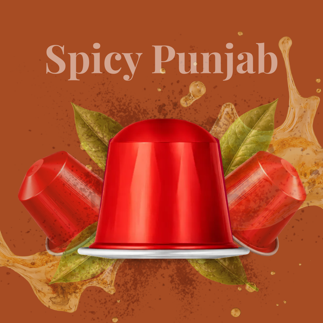 Spicy Punjab Black Tea Capsules | Spiced Assam Tea | Nespresso Compatible
